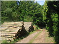 Footpath through Park Plantation in TN11 8HX