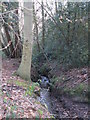 The River Ravensbourne in the north of Barnet Wood in BR2 8HA