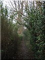 Footpath to the A258 Deal Road in CT14 0BT