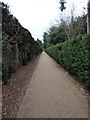 Footpath from Rustic House car park to the main part of Chiswick House Gardens in W4 3JR