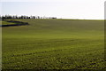 Greenwich meridian on Mill Hill in Iford