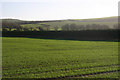 Greenwich Meridian just north of the Rodmell - Lewes road in Iford