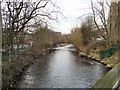 River Tame in SK15 1SJ