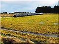 Silage Bales in KW1 5SB