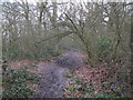 Footpath and drain in Clay Wood in BR2 8BT