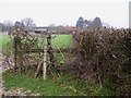 Defunct stile on footpath to Hayland Farm in GU28 0NX