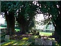 Churchyard, Church of St Kenelm in GL7 6LQ