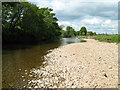River Eden below Musgrave Bridge in CA17 4DW