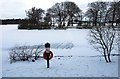 Frozen pond Monikie Country Park in DD5 3PZ