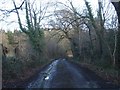 Road to Ashclyst Forest in EX5 3DT