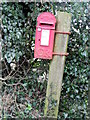 Postbox, Sigwells in DT9 4LN