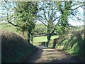 Road north-west of Frogmore Cross in EX5 3DS