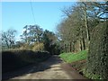 Road to Beare from Frogmore in EX5 3DS