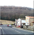 Wooded hillside viewed from March Hywel, Cilfrew in Blaenhonddan Community