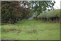 Old bridleway in SY17 5QG