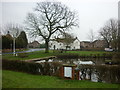 The village pond at North Duffield in YO8 5RH
