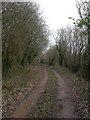Cripplestyle, bridleway in SP6 3DT
