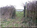 Gate near Nether Compton in DT9 4QY