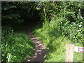 Footpath to Pyrford golf club in GU23 6YZ