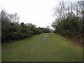 Wide path - Tadley Common in RG7 4PS