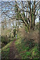 Footpath to Combe in TQ8 8LU