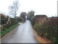 Road north from Nether Exe in EX5 4DZ