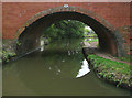 Through Bridge No 65 south-west of Hopwood in B48 7BP