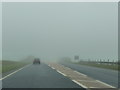 West Dorset : The A35 in Fog in DT6 4PJ