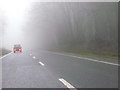 East Devon : The A35 in Fog in EX13 5TB