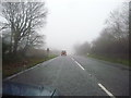 East Devon : The A35 in Fog in EX13 5SP