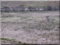 Wet ground, Glen More in IV40 8LA