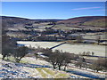 Rough pastures with scattered trees northeast of Slagggyford in CA8 7NL