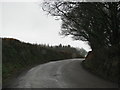 Road past Challice's Plantation in EX18 7QY