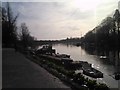 View of the Thames winding through Petersham Meadows in TW10 6LJ