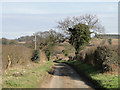 Country road south of South Acre in PE32 2AB