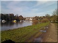 View looking ENE up the Thames back towards Richmond in TW10 6JQ