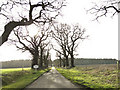 Private Road - Public Footpath at Rougham, Norfolk in PE32 2SG