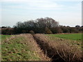 Looking towards a railway, from south of Marton Lane in DN20 9PA