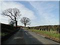 A1065 and B1145 crossroads near East Lexham in PE32 2SA