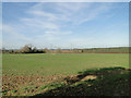 Pylons and cables across farmland at Great Dunham in PE32 2LP