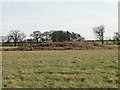 Tumulus on Weasenham Lyngs in PE32 2RZ