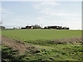 Canister Farm from across the Winter wheat in PE32 2LW