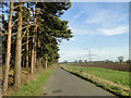 Road beside the bronze Age Barrow at Weasenham Woods in PE32 2SP