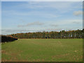 Stone covered field near Claypit Moor, Litcham in PE32 2QS