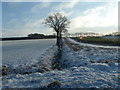 Snow in Necton in PE37 8NR