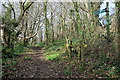 Footpath on Moult Hill in TQ8 8LQ