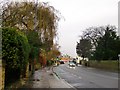 Richmond Road, Twickenham, in January in TW1 4AD