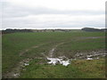 View near Holtham Garrs in LN8 3QS