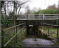 The A31 underpass at Neatham in GU34 4HJ