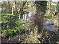Brook from Hobditch joins the river Alne in B95 5RJ